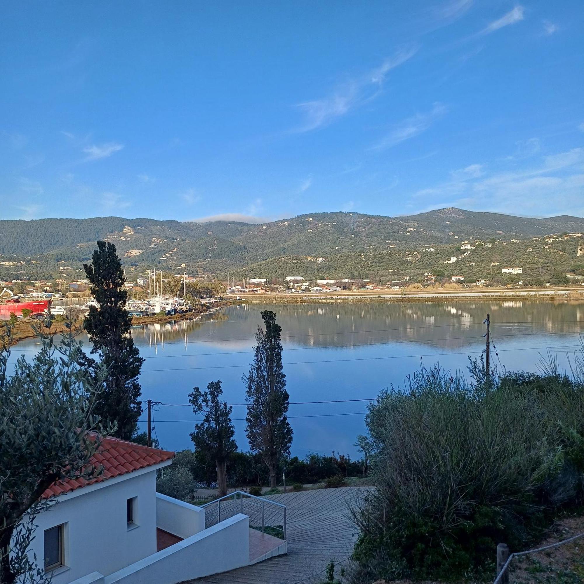Lagoterra Διαμέρισμα Σκιάθος Πόλη